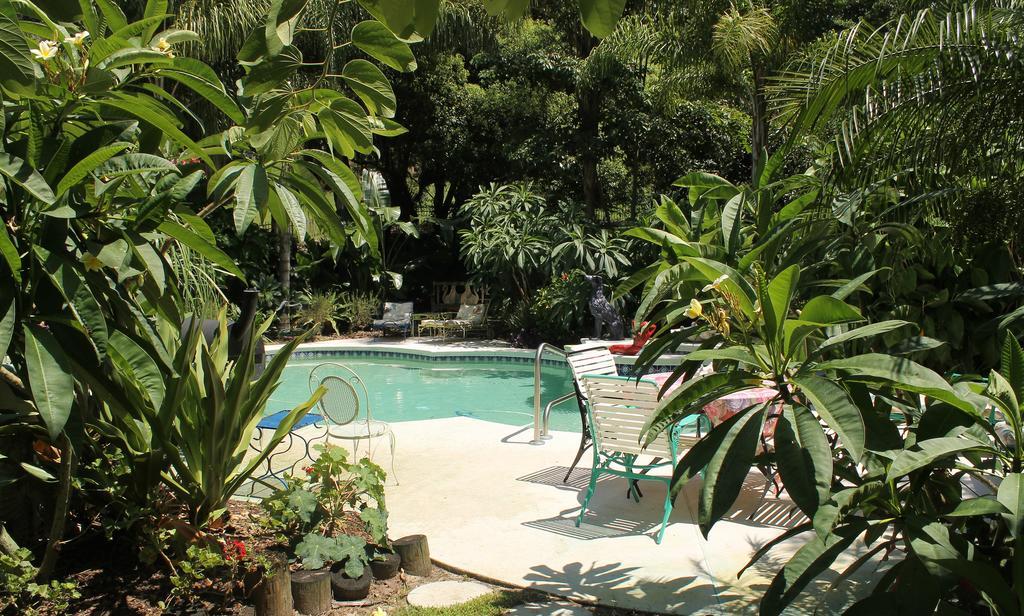 Heron Cay Lakeview Bed & Breakfast Mount Dora Exterior photo